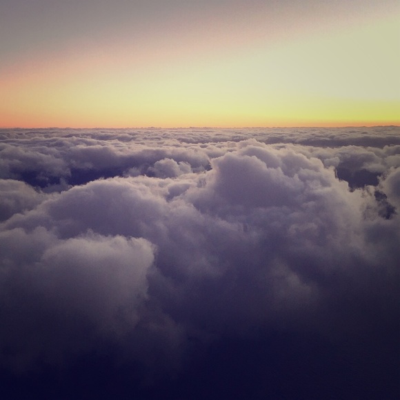 Meet your Posher, Sylvia - Picture 1 of 1